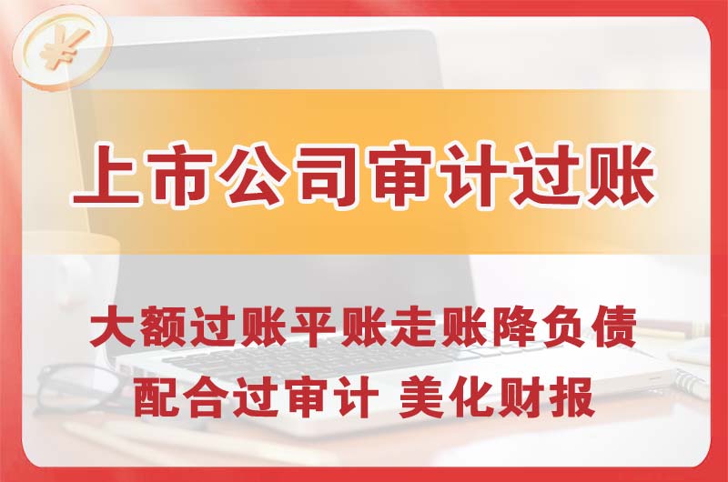 龙泉上市公司审计过账